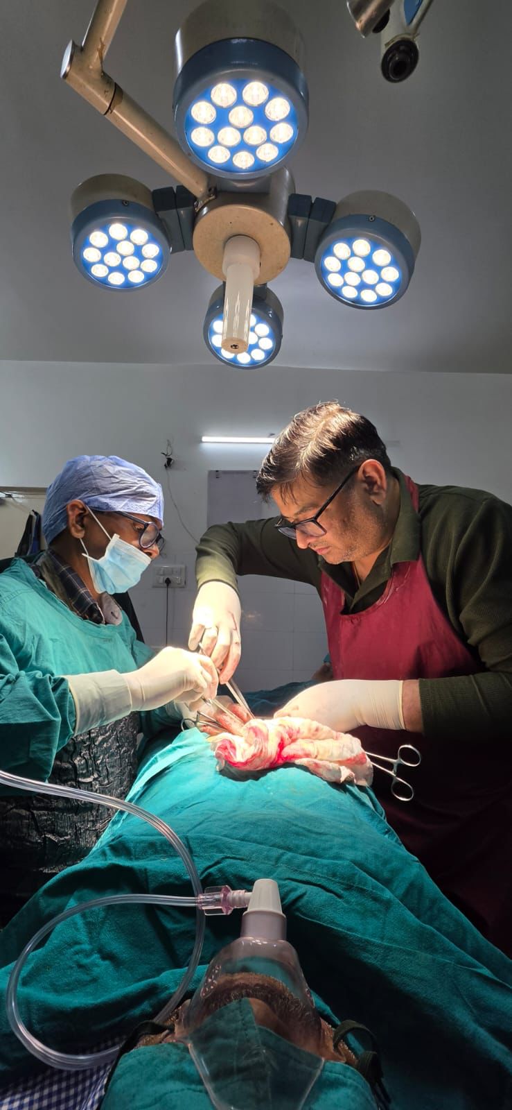 Surgical care procedure at Timoneer Hospital